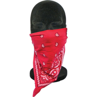 Cotton Bandana