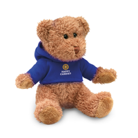 Teddy bear plus with t-shirt